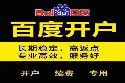 搜索引擎优化（SEO）与竞价广告（SEM）的对比案例